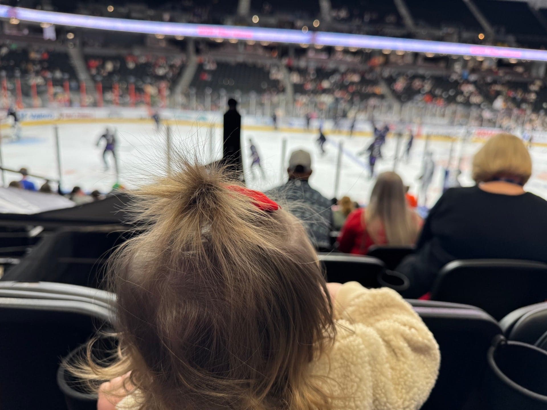 Bon Secours Wellness Arena