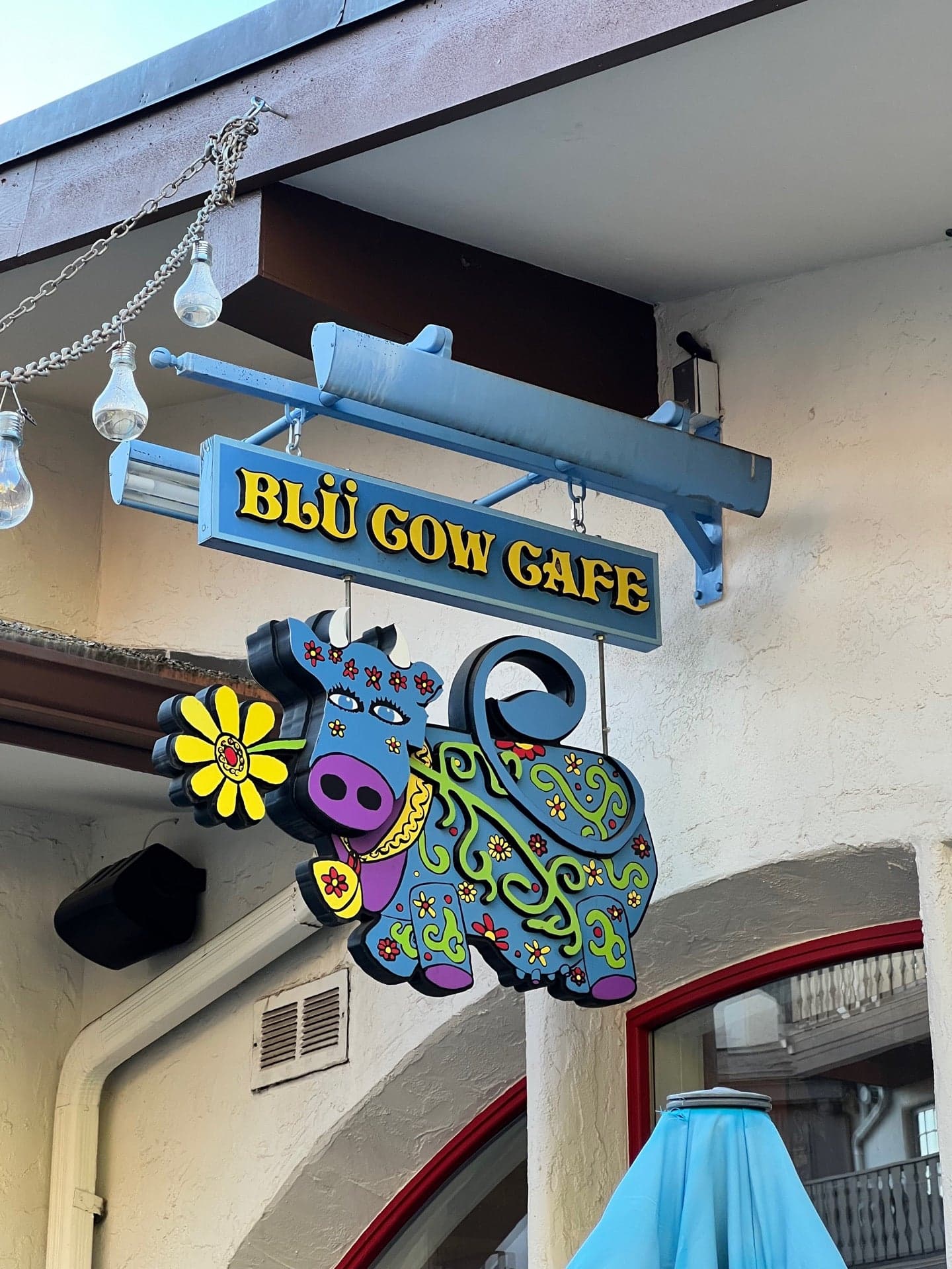 The Rabbit Hole at Chasing Rabbits